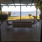 Kalypso Relaxing Shelter Appartement *