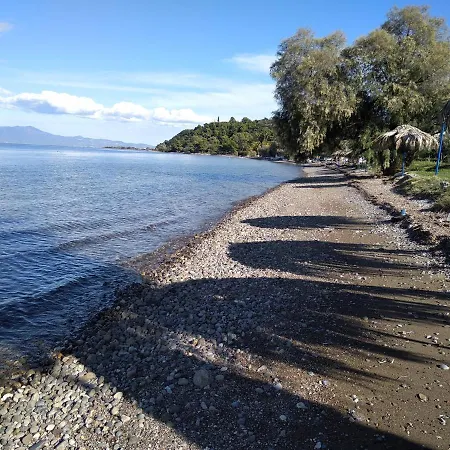 Kalypso Relaxing Shelter